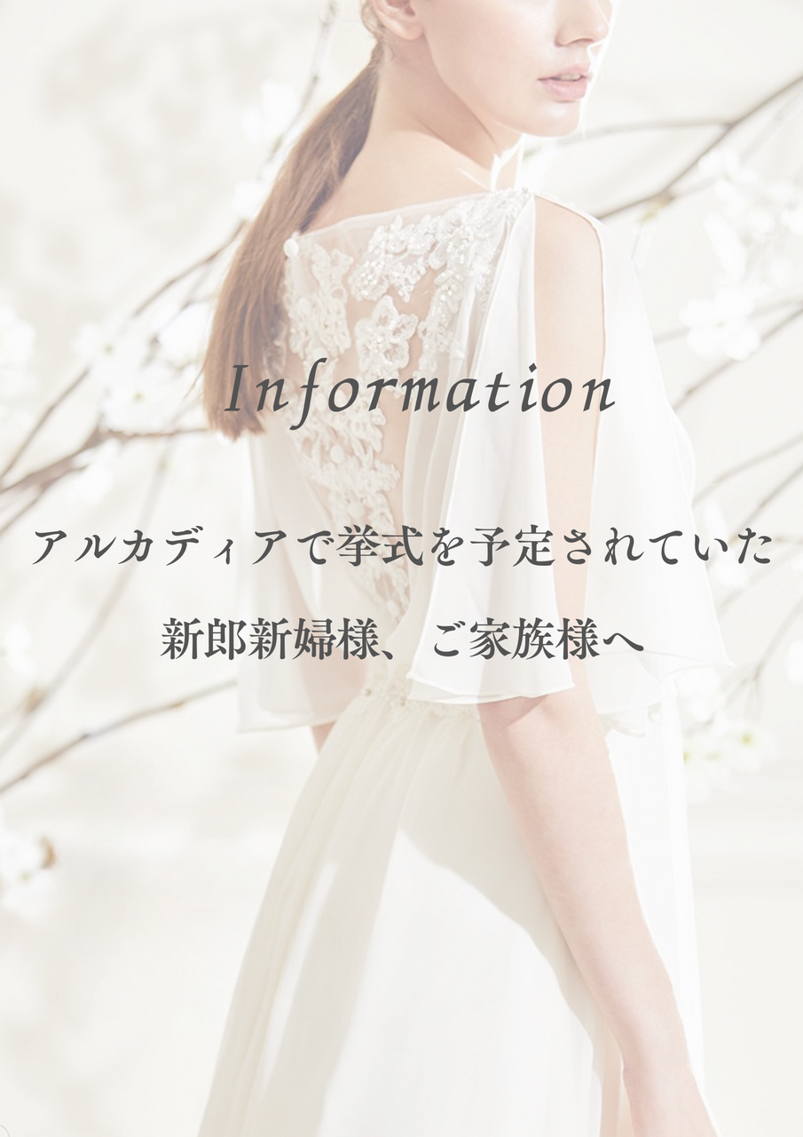 309y16◇佐賀錦 花丸文 袋帯 八重梅 菊 竹 萩◇美品 成人式 結婚式